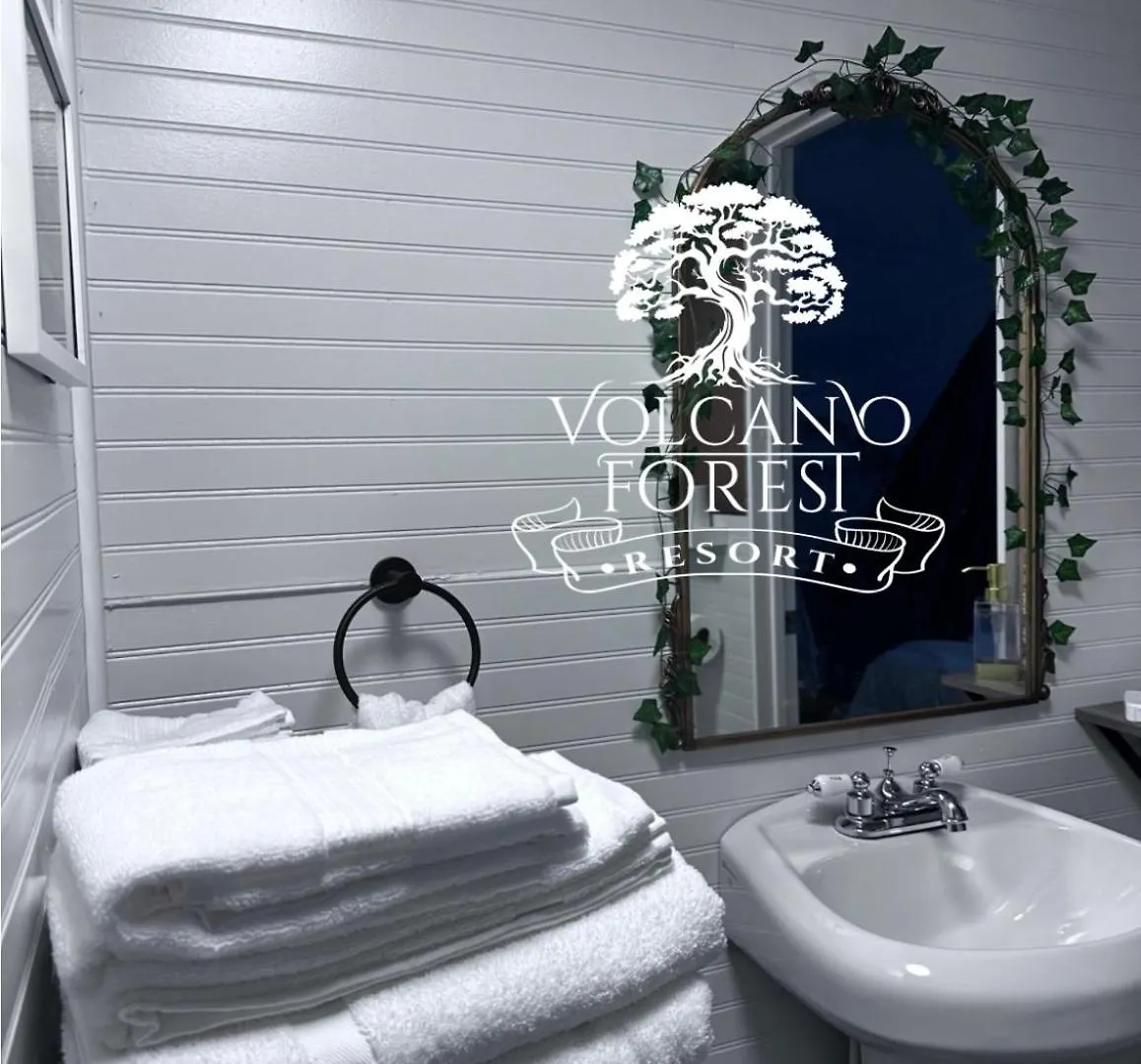 Volcano Forest Resort Holiday home
