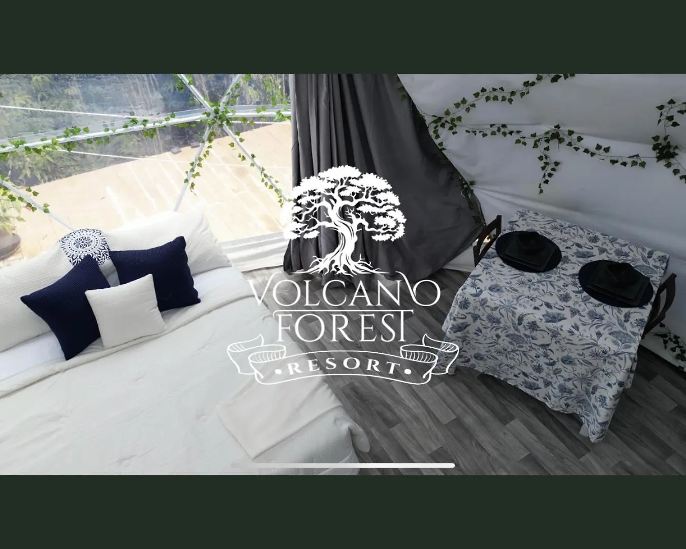 Holiday home Volcano Forest Resort United States