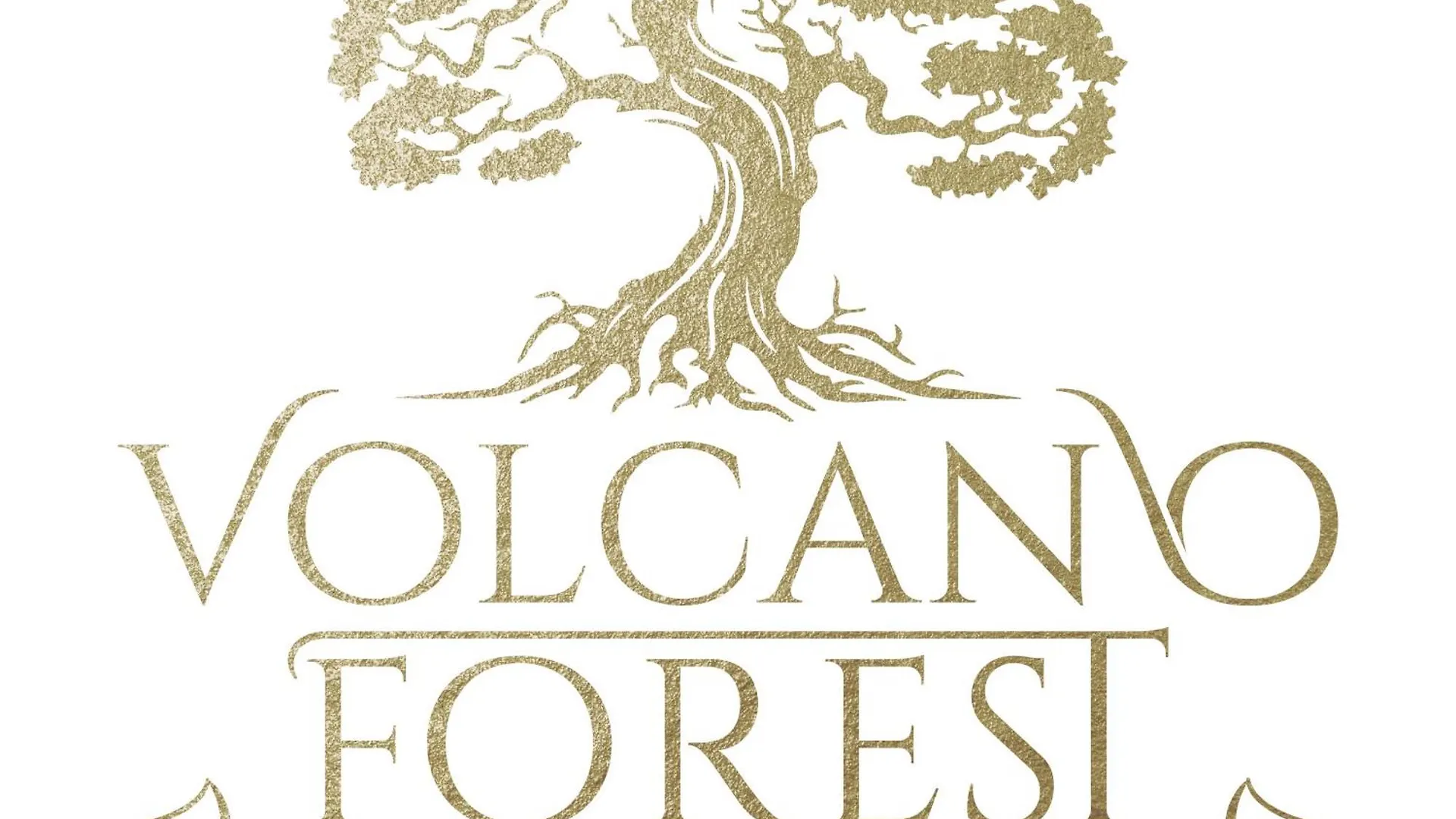 Holiday home Volcano Forest Resort United States