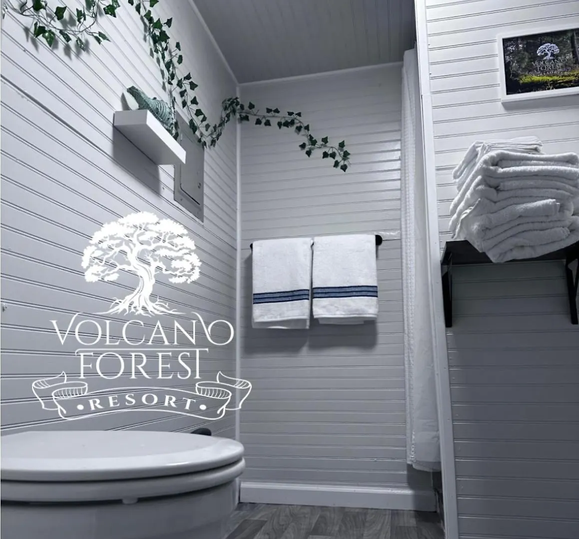度假居 Volcano Forest Resort