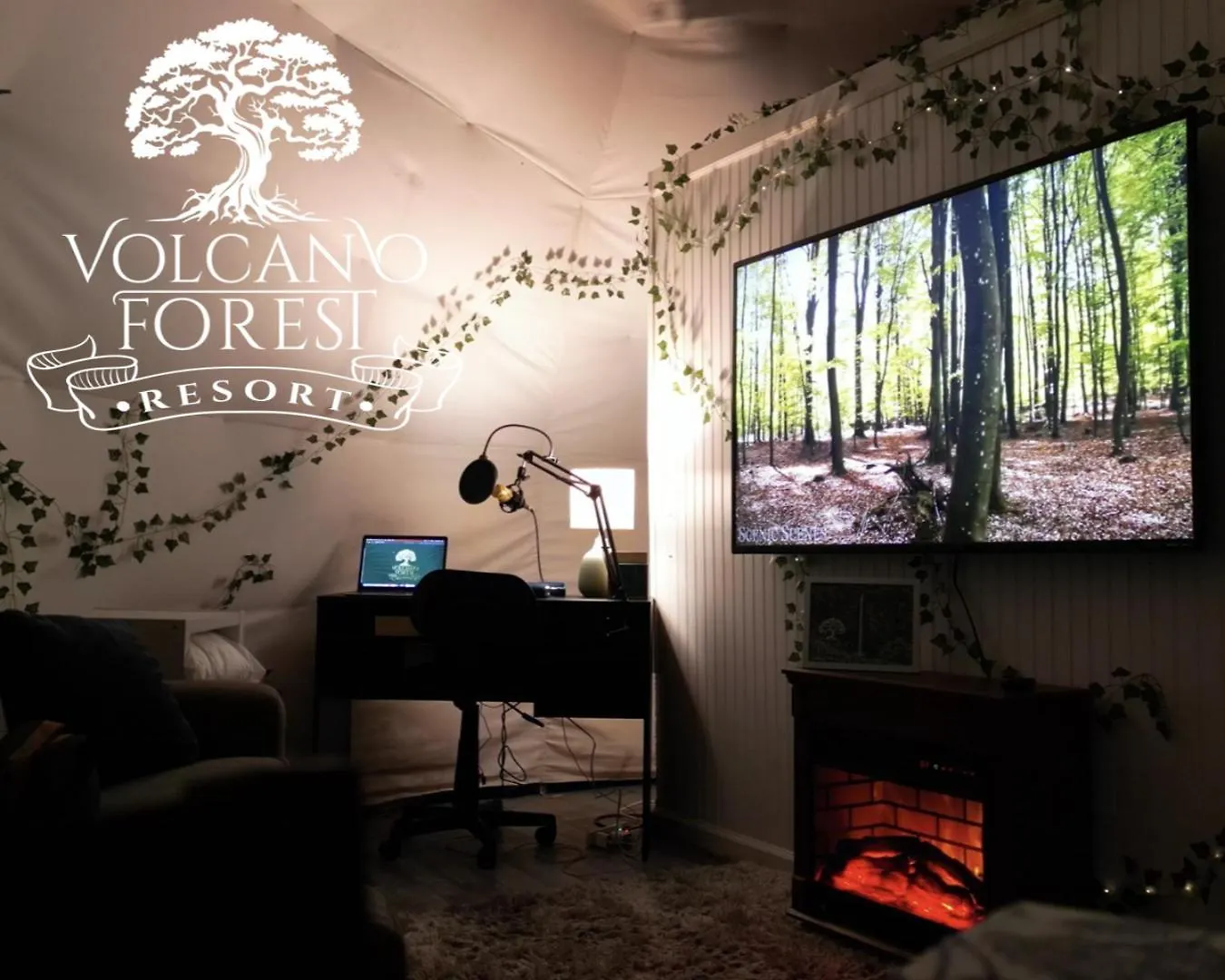 Volcano Forest Resort 度假居